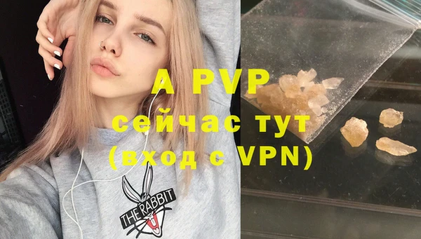 гашик Армянск