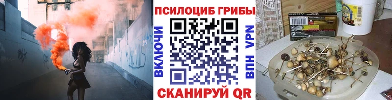 наркотики  Сургут  мега tor  Галлюциногенные грибы мицелий 